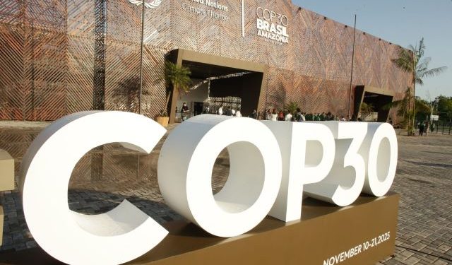 COP30: UNEP tips tropical forest facility will tackle carbon emissions