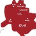 EFCC, NIS move against cross-border financial crimes in Kano