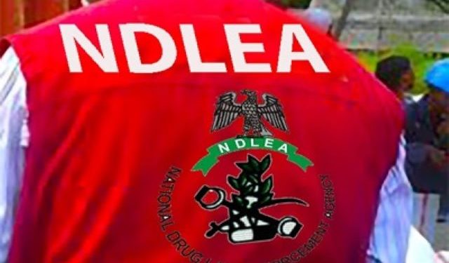 NDLEA confirms recovery of tons of illicit drugs in flight boarding cards, others
