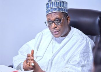 Nigeria: Minister confirms 17% drop in maternal deaths in 172 LGAs