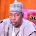 Borno: Gov. Zulum presents N890.33bn 2026 budget to state assembly