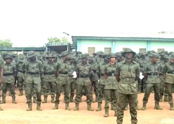 Nigeria: FG graduates 7,000 forest guards to strengthen internal security architecture