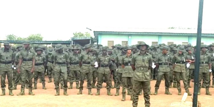 Nigeria: FG graduates 7,000 forest guards to strengthen internal security architecture