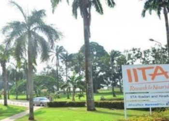 IITA inaugurates irrigation system, research farm equipment for improved varieties