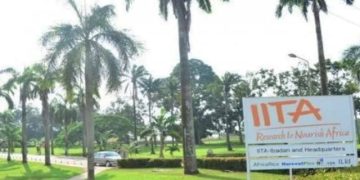 IITA inaugurates irrigation system, research farm equipment for improved varieties