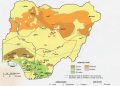 Nigeria: Services sector leads GDP growth to 3.98% in Q3 2025 