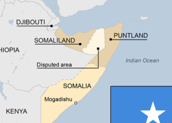 Nigeria calls on all actors to respect Somalia’s sovereignty
