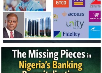 The Missing Pieces in Nigeria’s Banking Recapitalisation