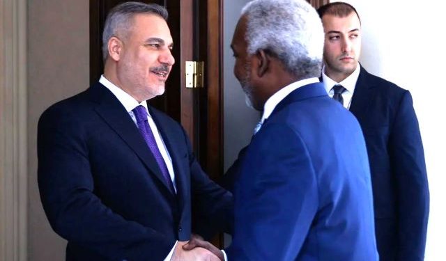 Nigeria commits to deepening ties with Turkey