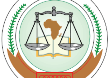 SERAP, Amnesty, BudgIT, CJID, 20 others urge Tinubu govt to grant direct access to African Human Rights Court