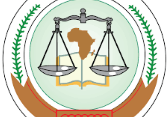 SERAP, Amnesty, BudgIT, CJID, 20 others urge Tinubu govt to grant direct access to African Human Rights Court