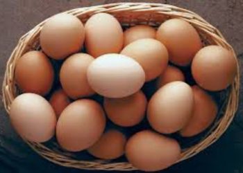 Nigeria: Egg sellers seek synergy to boost productivity