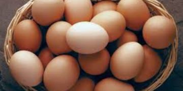 Nigeria: Egg sellers seek synergy to boost productivity