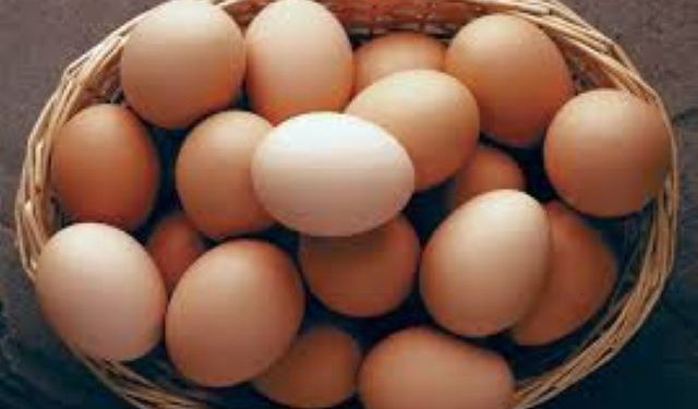 Nigeria: Egg sellers seek synergy to boost productivity