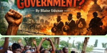 What if the problem isn’t just the government?