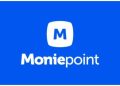 Nigeria: Moniepoint confirms digital payments dominance in night transactions