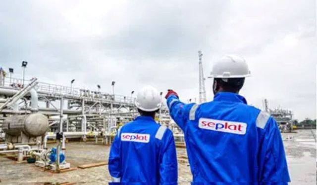 Seplat/NNPC JV commences scheduled maintenance on major gas facilities