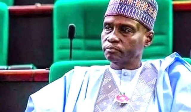 National Assembly: Monguno leads other senators on legislative representation