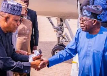 Tinubu returns to Abuja after Türkiye state visit