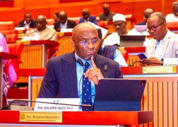 Nigeria’s Kalu pushes digital payments, infrastructure overhaul to boost intra-ECOWAS trade