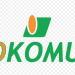 Okomu Oil to maintain dividend payment for 2025