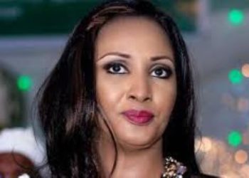 Minister assures that Nigeria will implement MoU with Türkiye