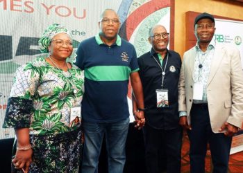 LIRS boss credits  Tinubu’s foresight for Lagos tax growth