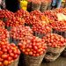 Nigeria: Tomato farmers forecast steady price hike from May