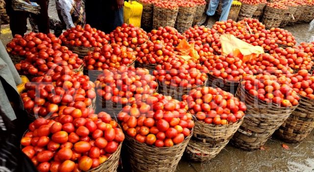 Nigeria: Tomato farmers forecast steady price hike from May