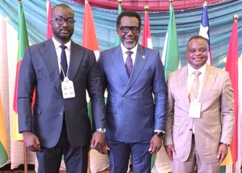 NAICOM boss calls for strict compliance to sustain ECOWAS Brown Card Scheme