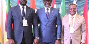 NAICOM boss calls for strict compliance to sustain ECOWAS Brown Card Scheme