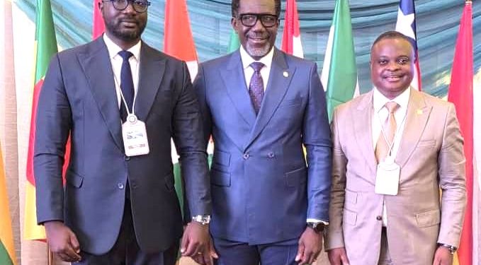 NAICOM boss calls for strict compliance to sustain ECOWAS Brown Card Scheme