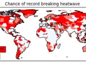 UN report says extreme heat threatens global agrifood systems