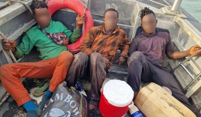 Nigerian Navy intercepts three stowaways on MSC STELLA vessel near Lagos