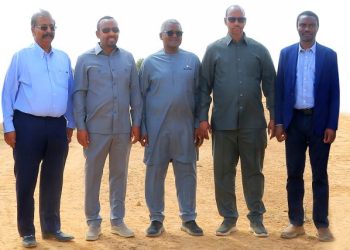 Dangote raises investment in Ethiopia to $4b, vows to ensure food security in Africa