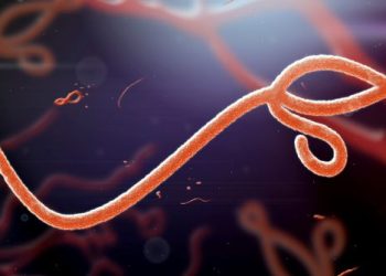 Ebola: WHO says 139 suspected dead, numbers expected to rise