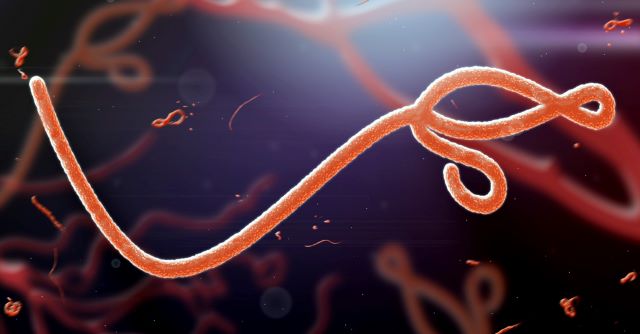 Ebola: WHO says 139 suspected dead, numbers expected to rise
