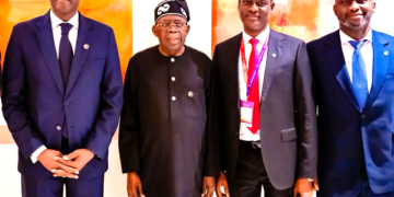 IFC sending a team to Nigeria to explore scalable investment in livestock, energy, housing