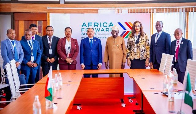 How President Tinubu pitches Nigerian business case to the rest of Africa