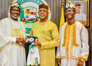 Ogun to conduct a comprehensive power audit