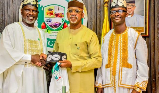 Ogun to conduct a comprehensive power audit