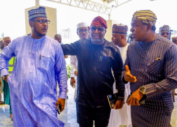 Nigeria: Be wary of opposition elements trying to truncate democracy – Gov Sani 
