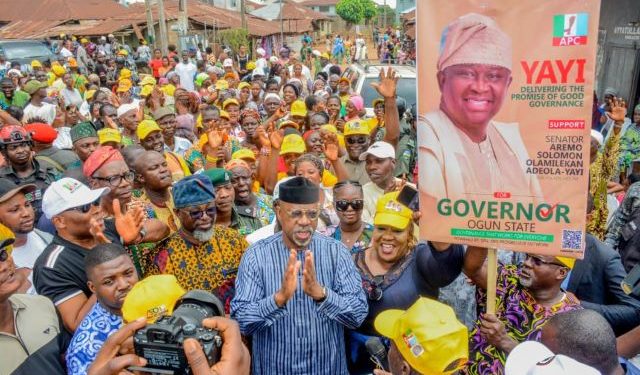 Yayi emerges APC flag bearer in Ogun