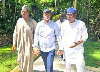 Nigeria: Govs of Borno, Ogun, Ekiti tour Ikogosi Warm Springs Resort, seek collaboration to revive tourism economy
