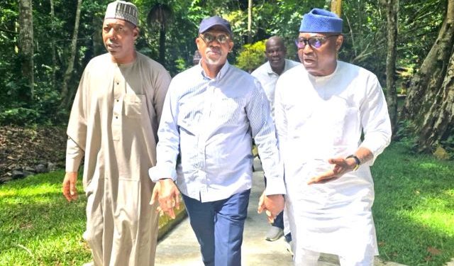 Nigeria: Govs of Borno, Ogun, Ekiti tour Ikogosi Warm Springs Resort, seek collaboration to revive tourism economy