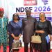 NDSF@17: Nigeria must be an “active architect” in global digital compacts