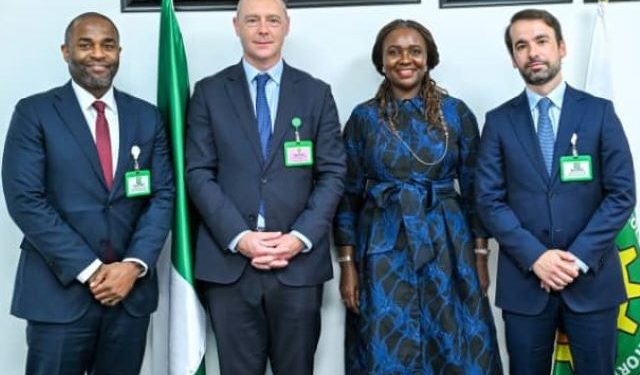Meren Energy eyes fresh investments in Nigeria as NUPRC unveils 2026 licensing round plans