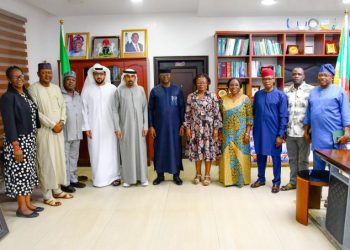 Nigeria, UAE to strengthen partnership on water, sanitation and irrigation