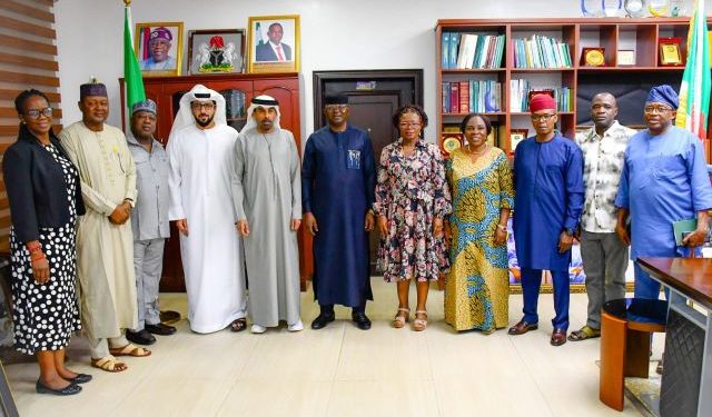 Nigeria, UAE to strengthen partnership on water, sanitation and irrigation