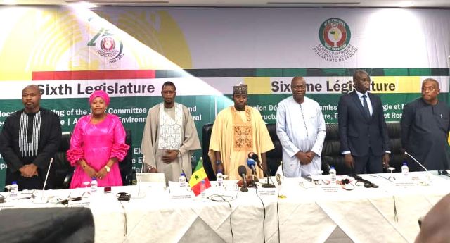 ECOWAS parliament urges stronger action on renewable energy, rural electrification